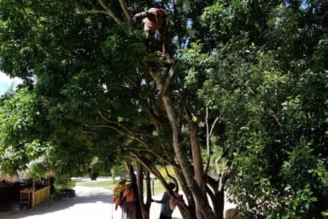 Blue Hole Mineral Spring and Ricks Cafe Private Tour - Should You Book the Blue Hole and Rick’s Cafe Tour?