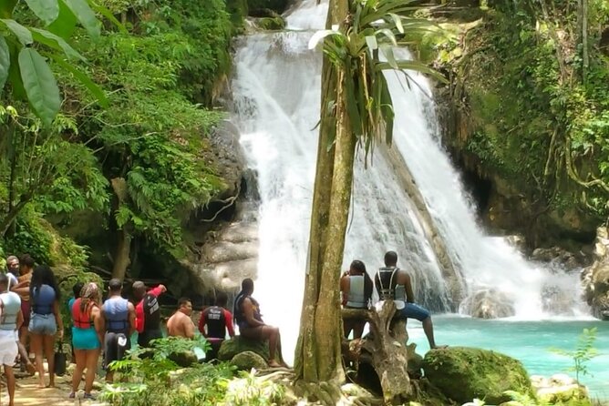 Blue Hole/Secert falls and Dunns River Combo Tour - What the $124 price really covers