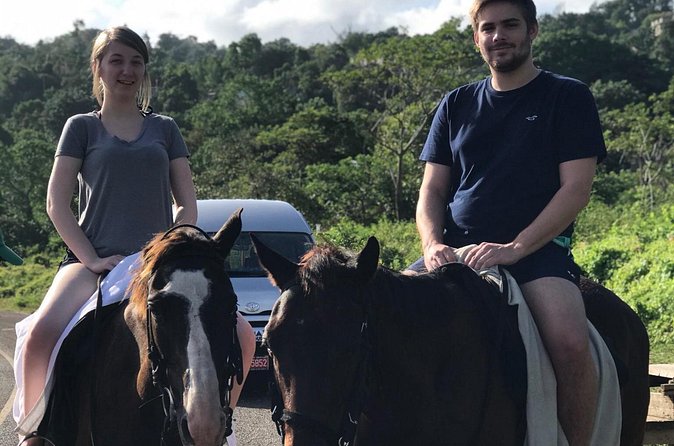 Blue hole waterfalls + horseback riding from Montego bay - Two Jamaica adventures in one half-day