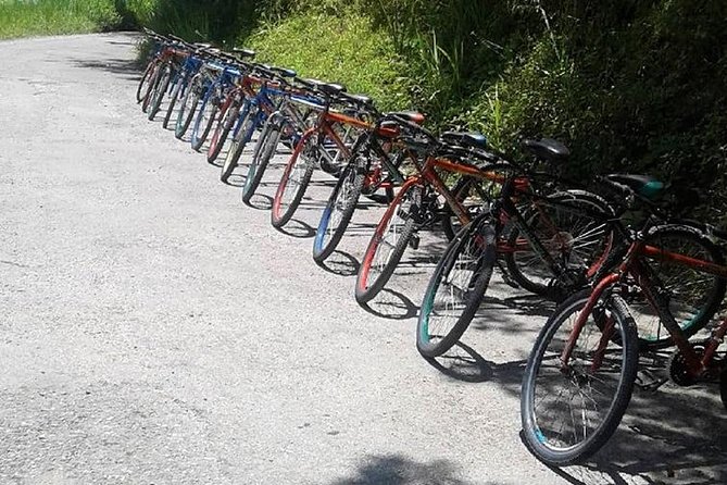Blue Mountain Bicycle Tour from Montego Bay - Cooling off at a Blue Mountain waterfall