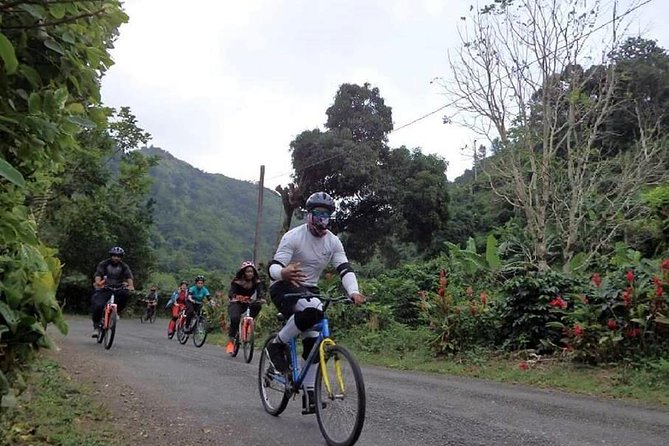 Blue Mountain Bicycle Tour from Montego Bay - Pedaling through rainforest and coffee country
