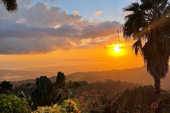 Blue Mountain Coffee, Bob Marley and Art Tour from Montego Bay - The Bob Marley Museum in Kingston
