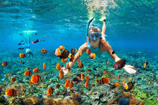 Boatride & Snorkeling then Margaritaville Hipstrip Activity - Key points at a glance