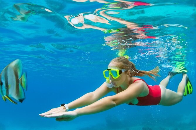 Boatride & Snorkeling then Margaritaville Hipstrip Activity - A reef outing with an easy Montego Bay finish