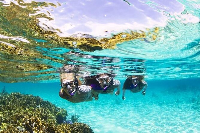 Boatride & Snorkeling then Margaritaville Hipstrip Activity - Snorkeling with Randy, Duran, or Aldrich