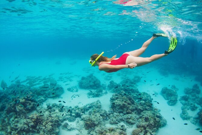 Boatride & Snorkeling then Margaritaville Hipstrip Activity - Margaritaville and the Hip Strip after the water