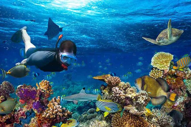 Boatride & Snorkeling then Margaritaville Hipstrip Activity - Is $40 a fair price?