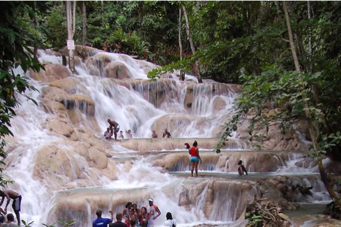 Bob Marley Nine Mile and Dunn's River Falls Tour From Montego Bay - What the private guide adds