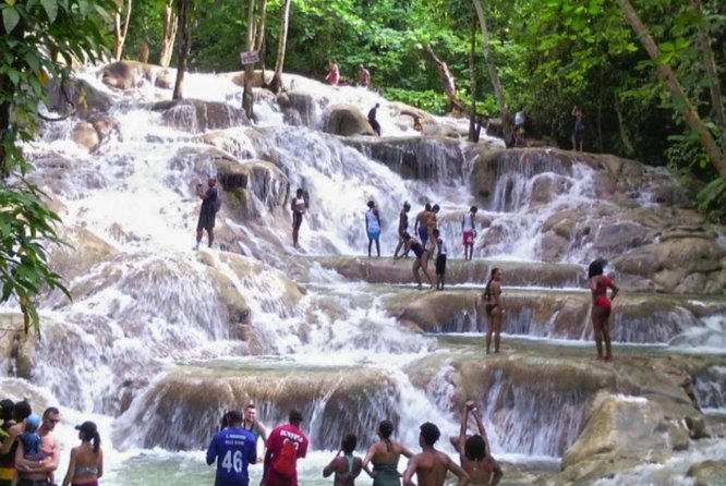 Bob Marley Nine Mile and Dunn's River Falls Tour From Montego Bay - Who should book this Montego Bay excursion?