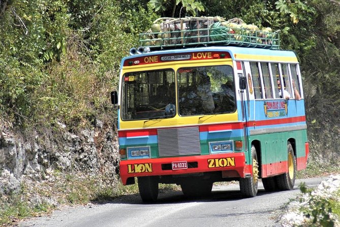 Bob Marley's Nine Mile Admission and Guided Tour from Montego Bay - What the guides add to the day