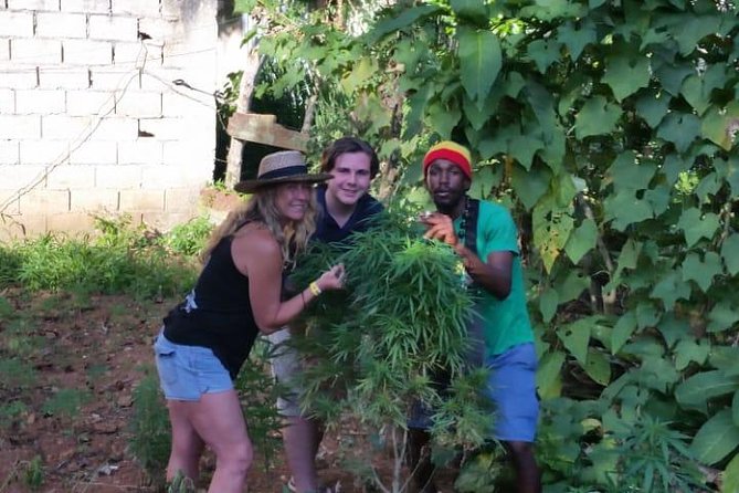 Bob Marley's Nine Mile & Dunns River Falls Tour: Transportation & Ticket - Is $205 per person a fair price?