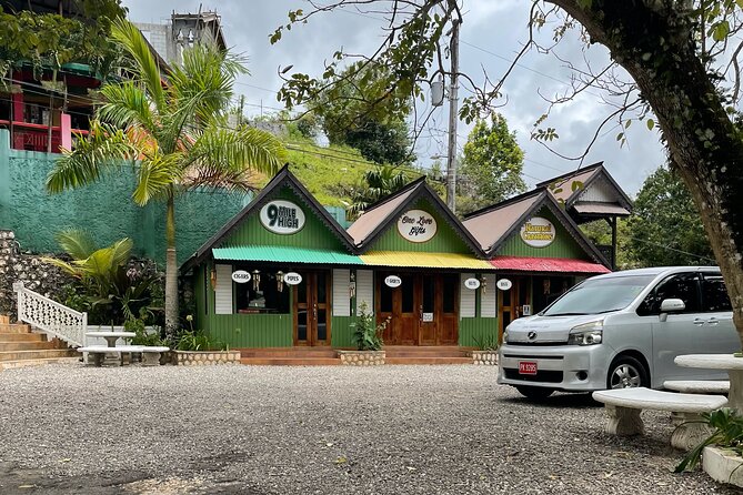 Bob Marley's Nine Mile Mausoleum Tour (Complimentary Rum Punch) - Who should book this tour?