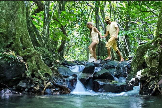 Bush Hiking to explore Wild Plants & Fresh Fruits,Montego Bay - Practical Details Before You Go