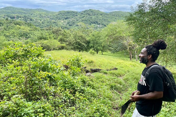 Bush Hiking to explore Wild Plants & Fresh Fruits,Montego Bay - Should You Book This Lethe Experience?