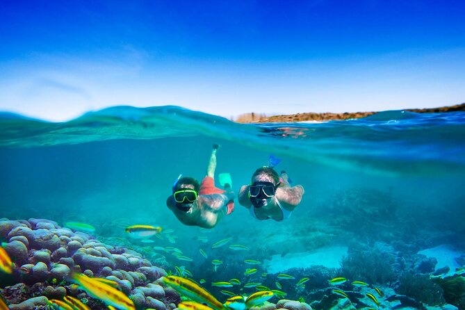 Catamaran Party Cruise and Snorkeling from Montego Bay - Who will enjoy this cruise most