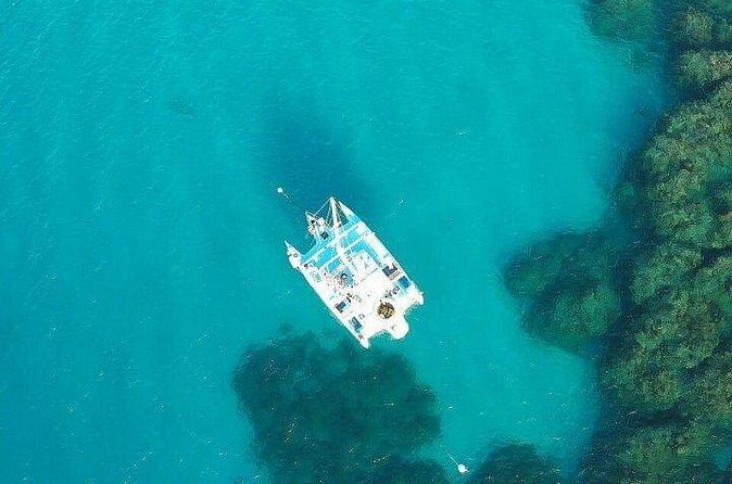 Catamaran, snorkeling & Dunn's River Falls - Snorkeling from the catamaran