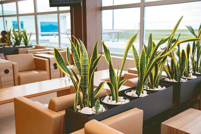 Club Mobay Sangster Airport VIP Lounge with Priority Entry - Food, drinks, Wi-Fi, and the small comforts