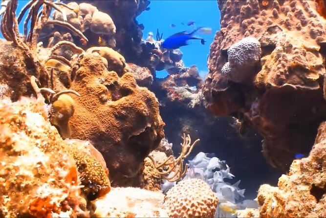 Customize Snorkeling with Option shopping Lunch & Stop local food - Meeting your driver in the hotel lobby