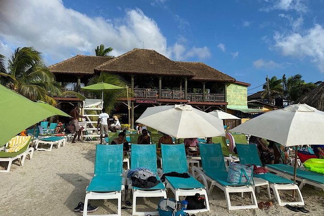 Day Tour Negril Beach & Ricks Cafe - Why the private format matters