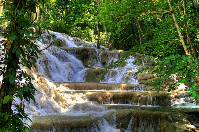Day Trip to Dunn's River Falls from Montego Bay - Key points to know before you book
