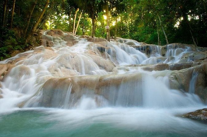 Day Trip to Dunn's River Falls from Montego Bay - Guides who can make the transfer better