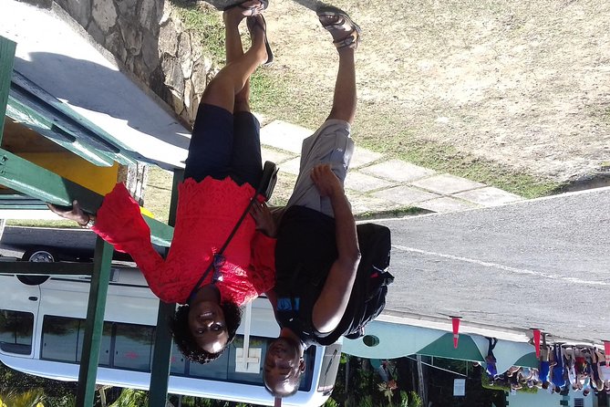 Day Trip to Dunn's River Falls from Montego Bay - Who will enjoy this outing most?