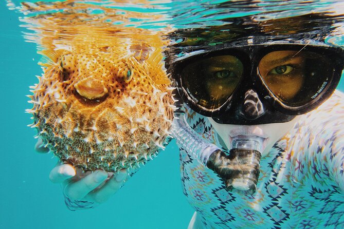 Discover Scuba Diving in Montego Bay-ONE Tank (First time Diving) - Your first breaths underwater in Montego Bay