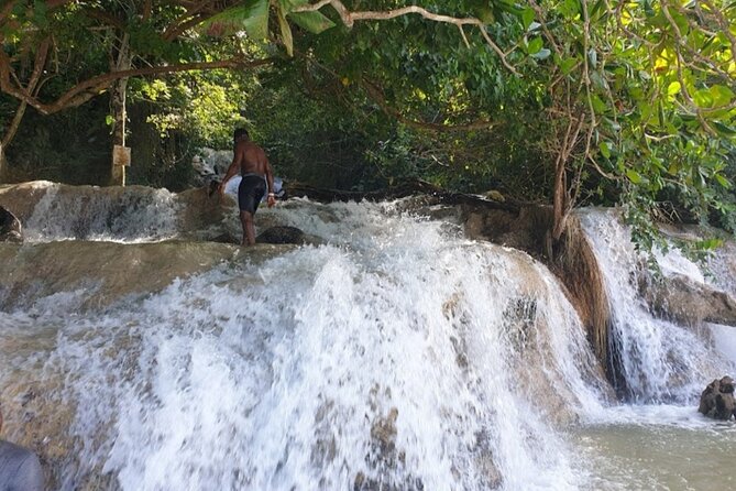 Dunn's River Fall's - Montego Bay pickup makes the morning easier
