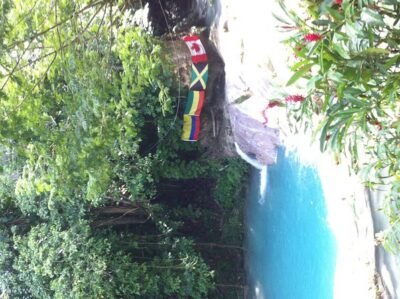 Dunn’s River Falls and Jamaica Sightseeing Private Tour