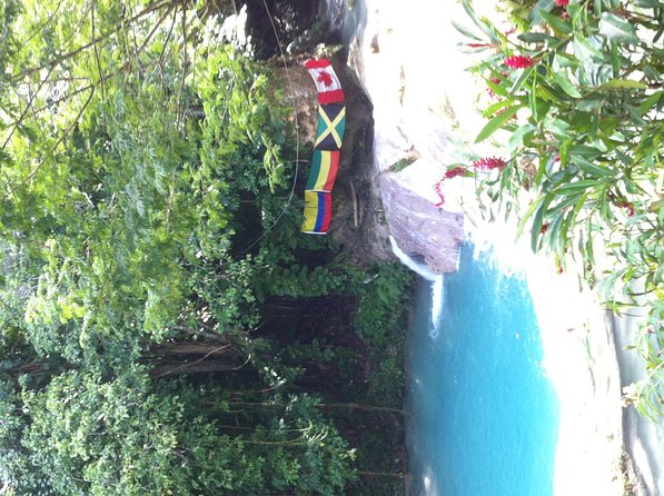 Dunn's River Falls and Jamaica Sightseeing Private Tour - Leaving Montego Bay in an air-conditioned minivan