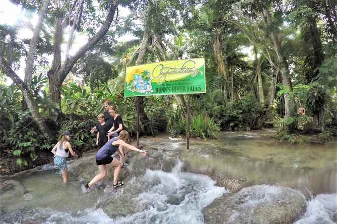 Dunn's River Falls and Ocho Rios Shopping Tour from Montego Bay Hotels - The Montego Bay to Ocho Rios ride