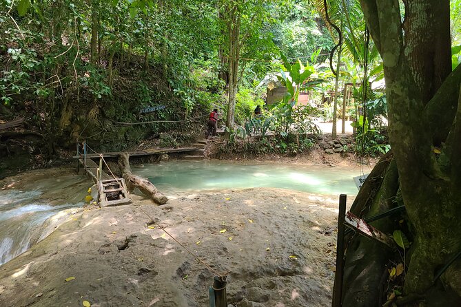 Dunn's River Falls & Blue Hole from Montego Bay or Falmouth - Should you book this Blue Hole and Dunn’s River Falls tour?