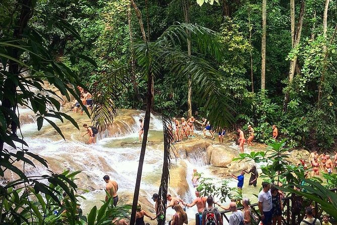 Dunn's River Falls & Blue Hole Tour from Montego Bay - Two Jamaican water adventures in one day