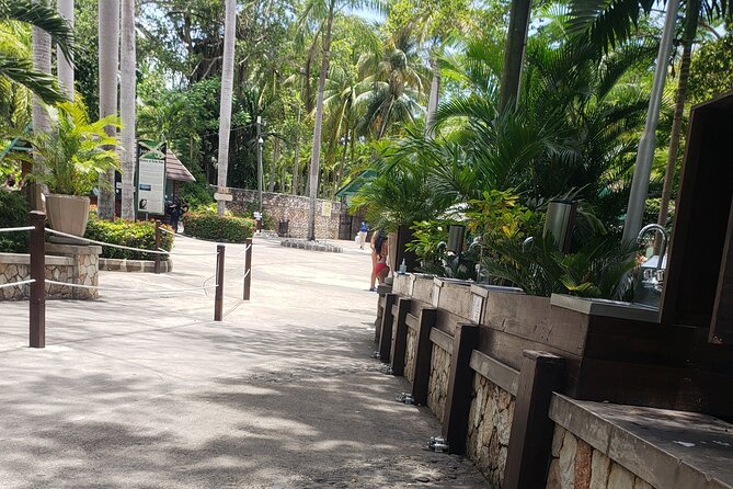 Dunn's River Falls & Blue Hole Tour from Montego Bay - Dunn’s River Falls: beautiful, crowded, and more work than it looks