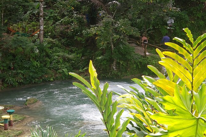 Dunn's River Falls & Blue Hole Tour from Montego Bay - Scotchies Drax Hall for jerk chicken