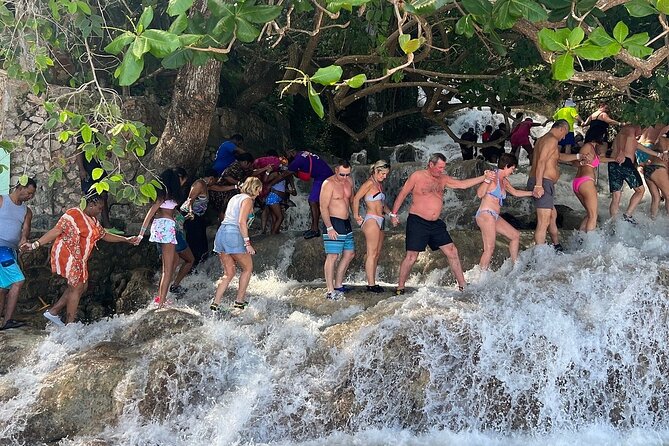 Dunn's River Falls Climb and Beach Include Entry Fee (ᵔᵕᵔ) - Optional Ocho Rios shopping stop
