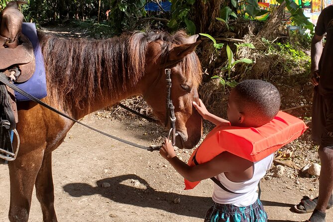 Dunn's River Falls Climb, Zipline and Horseback Riding Private Tour - What to bring for water, height, and horses