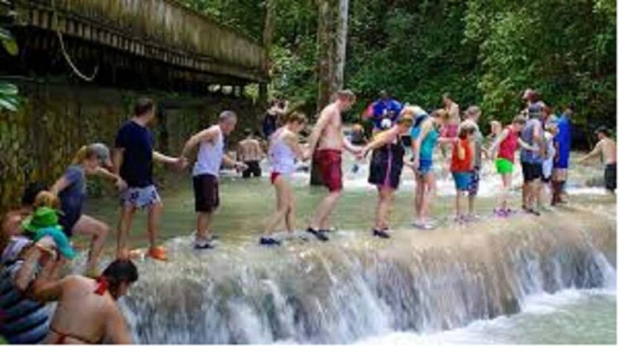 Dunn's River Falls Day Tour - Timing, costs, and the small print that matters