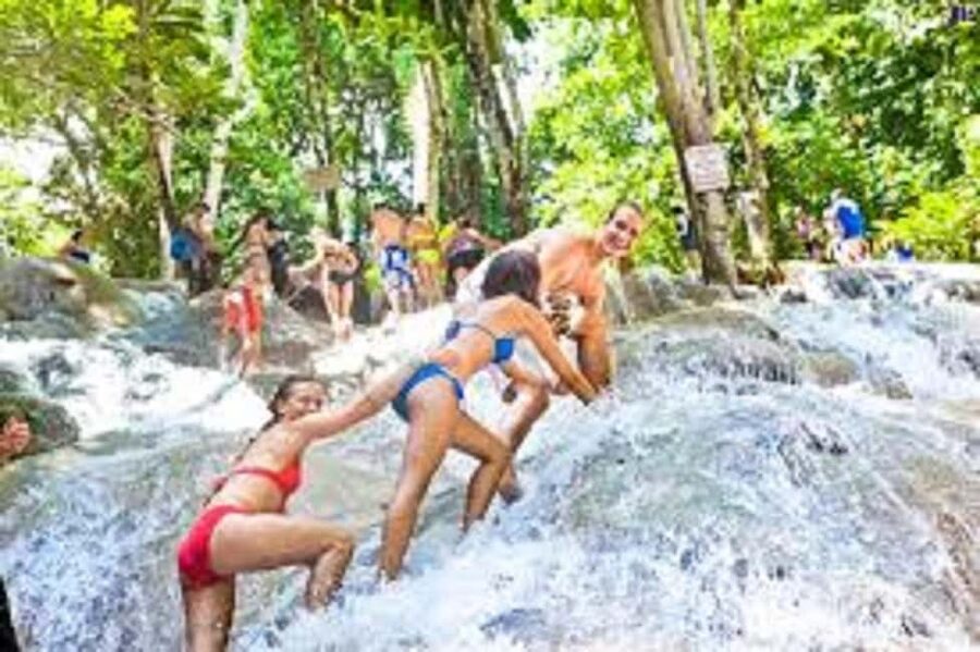 Dunn's River Falls Day Tour - Who will enjoy this tour most
