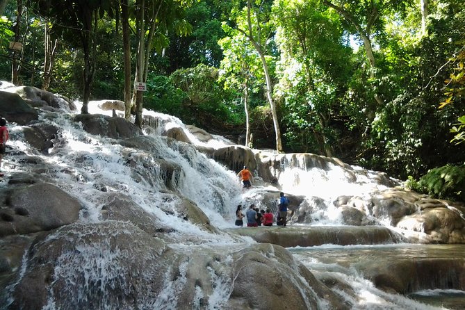 Dunn's River Falls excursion from Montego Bay - Key Points Before You Book