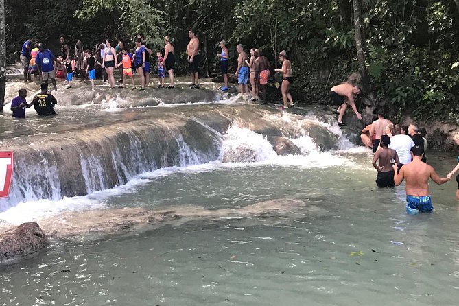 Dunn's River Falls From Montego Bay - Key points to know before you book
