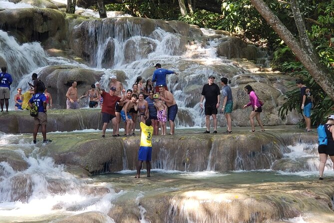 Dunn's River Falls Half Day Tour From Montego Bay - Private touring gives you useful flexibility