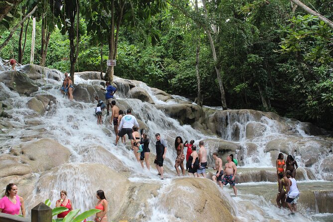 Dunn's River Falls Jamaica/Montego Bay/Falmouth - A private ride from Montego Bay