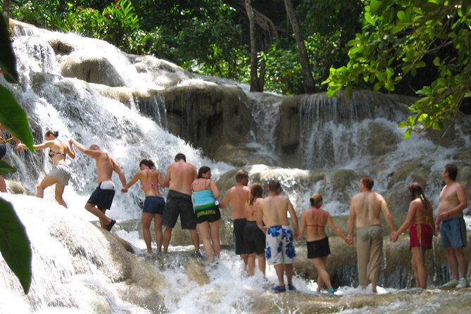 Dunn's River Falls & Luminous Lagoon Guided Tour from Montego Bay - What this Montego Bay day is really like