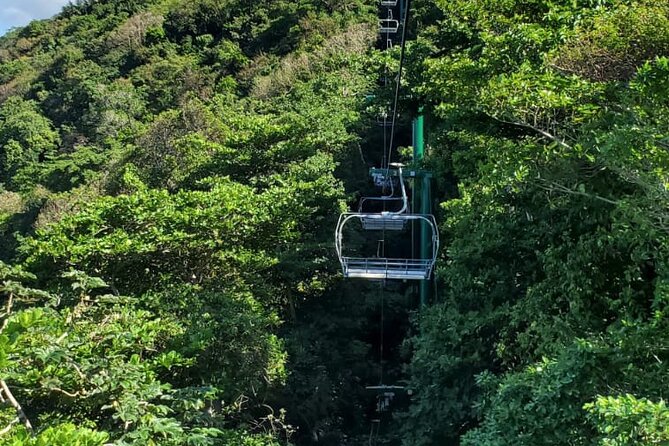 Dunn’s River Falls,Zip lining & horseback riding Combo tour from Montego Bay - Climbing Dunn’s River Falls with a guide