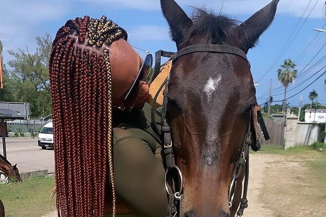 Dunn’s River Falls,Zip lining & horseback riding Combo tour from Montego Bay - What the private format is worth at $300