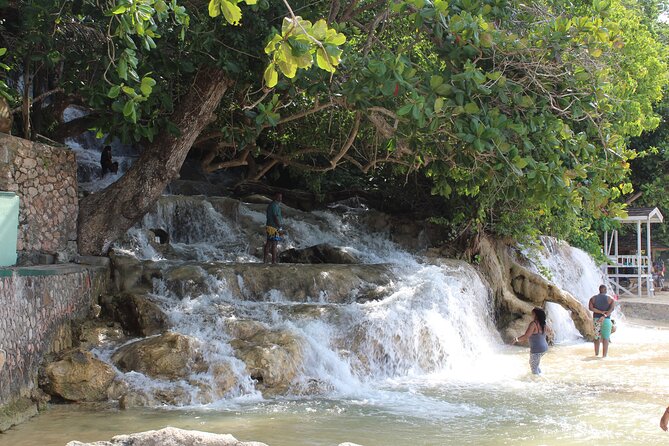 Dunn's River Park & Blue Hole Waterfall Combo from Montego Bay - Fitness, Families, and Comfort