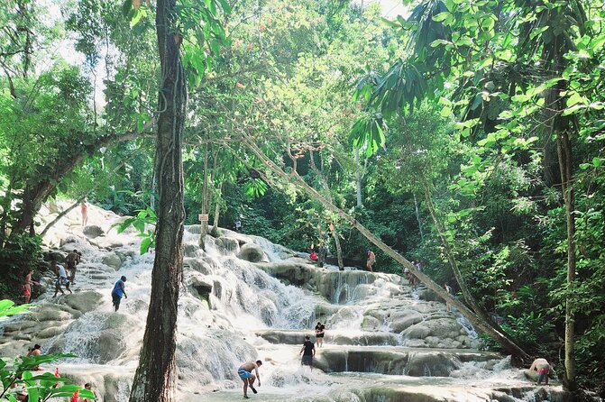 Dunns River Falls & Blue Hole Combo from Montego Bay with Pick Up - Who will enjoy this day most