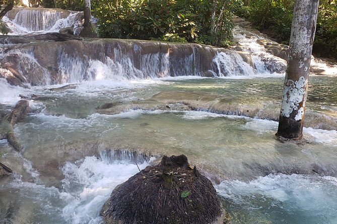 Dunns River Falls Experience from Montego Bay Resorts - Arriving at the falls and getting oriented