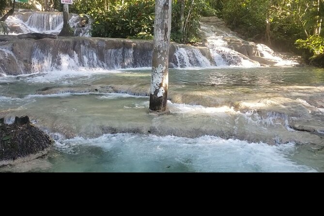 Dunns River Falls Experience from Montego Bay Resorts - Tranquility Gardens and the optional zipline